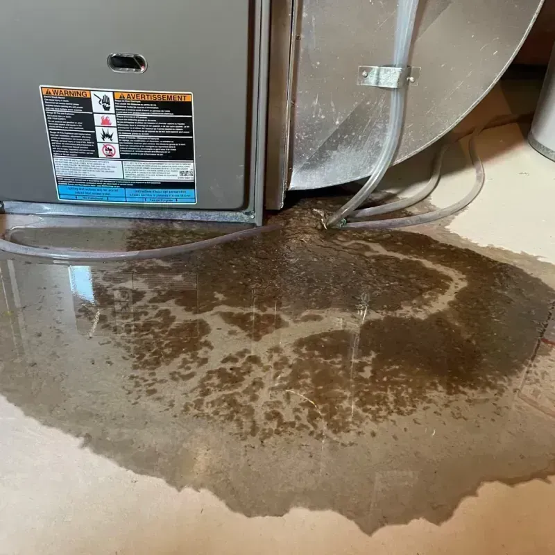 Appliance Leak Cleanup in Sullivan, MO